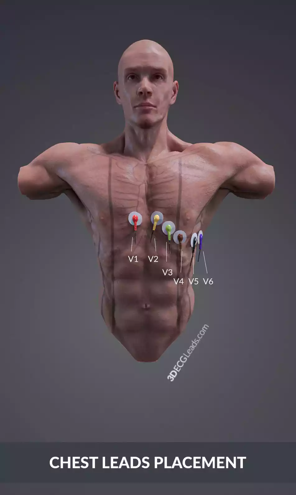 how to put ecg leads on chest